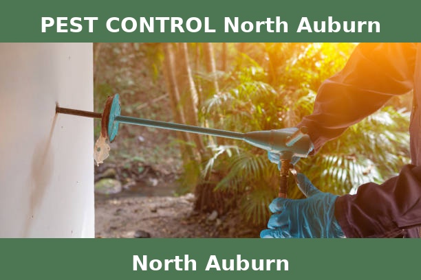 PEST CONTROL North Auburn